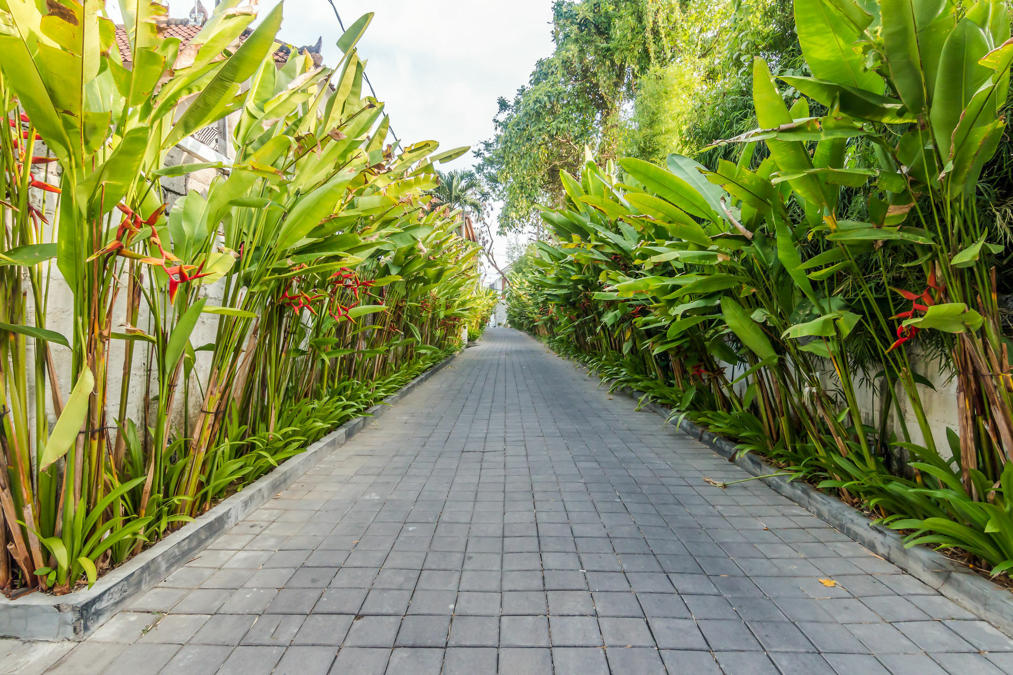 Zen Rooms Kerobokan Umalas 2 Seminyak  Exterior photo